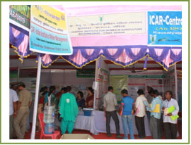 Image of Exhibition 1